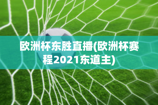 欧洲杯东胜直播(欧洲杯赛程2021东道主)