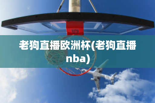 老狗直播欧洲杯(老狗直播nba)