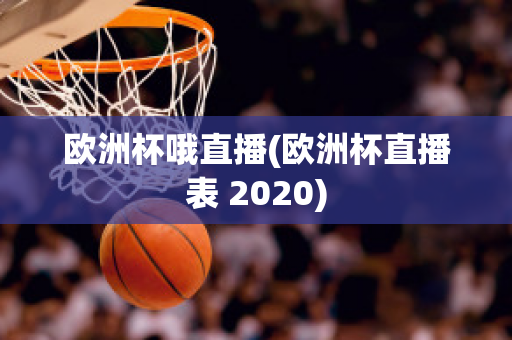 欧洲杯哦直播(欧洲杯直播表 2020)