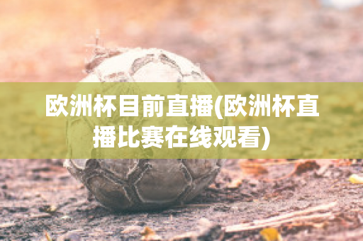 欧洲杯目前直播(欧洲杯直播比赛在线观看)