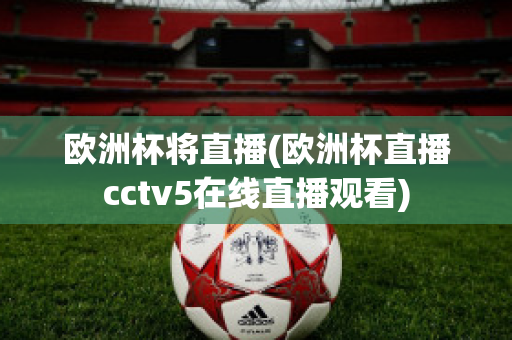 欧洲杯将直播(欧洲杯直播cctv5在线直播观看)