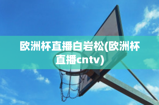 欧洲杯直播白岩松(欧洲杯直播cntv)