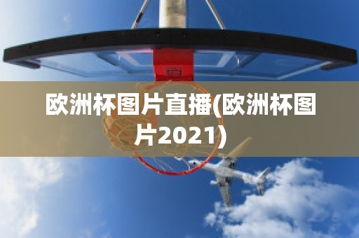 欧洲杯图片直播(欧洲杯图片2021)