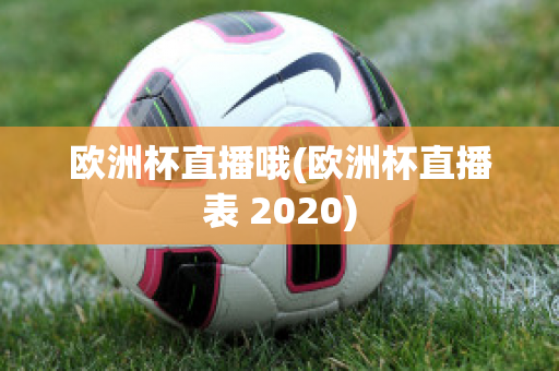 欧洲杯直播哦(欧洲杯直播表 2020)