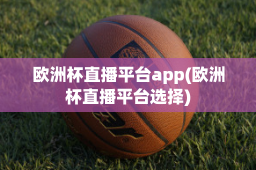 欧洲杯直播平台app(欧洲杯直播平台选择)