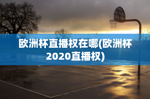 欧洲杯直播权在哪(欧洲杯2020直播权)