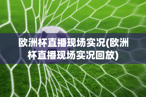 欧洲杯直播现场实况(欧洲杯直播现场实况回放)