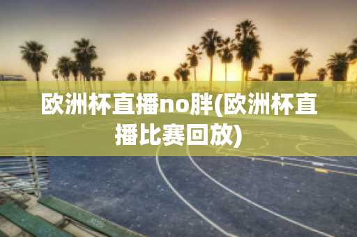 欧洲杯直播no胖(欧洲杯直播比赛回放)