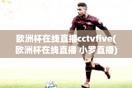 欧洲杯在线直播cctvfive(欧洲杯在线直播 小罗直播)