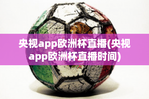 央视app欧洲杯直播(央视app欧洲杯直播时间)