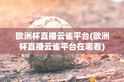 欧洲杯直播云雀平台(欧洲杯直播云雀平台在哪看)