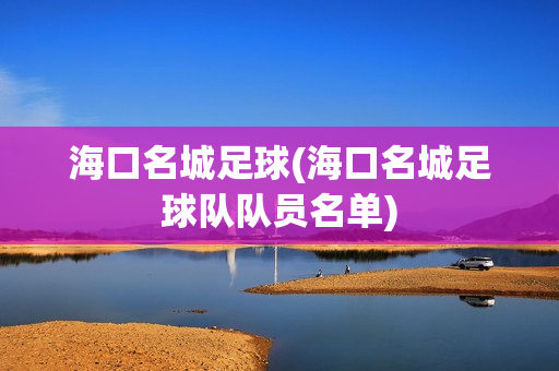 海口名城足球(海口名城足球队队员名单)