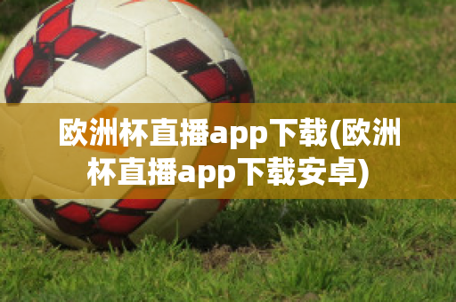 欧洲杯直播app下载(欧洲杯直播app下载安卓)