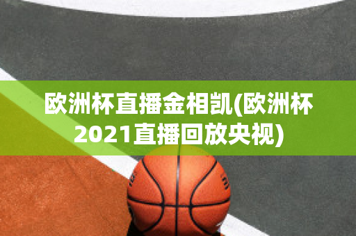 欧洲杯直播金相凯(欧洲杯2021直播回放央视)