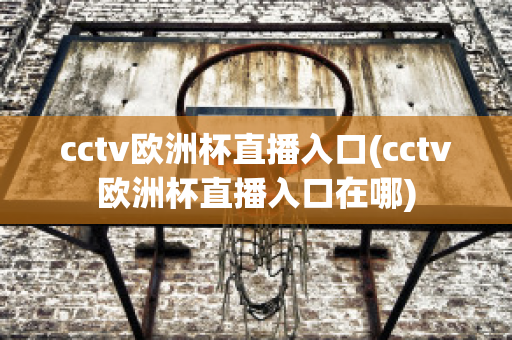 cctv欧洲杯直播入口(cctv欧洲杯直播入口在哪)