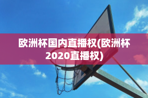 欧洲杯国内直播权(欧洲杯2020直播权)