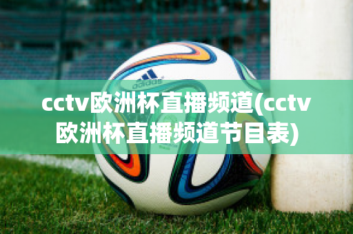 cctv欧洲杯直播频道(cctv欧洲杯直播频道节目表)