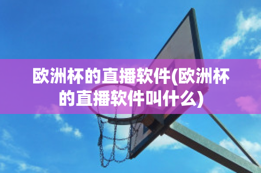 欧洲杯的直播软件(欧洲杯的直播软件叫什么)