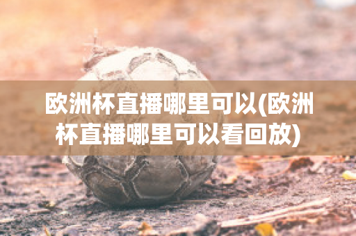 欧洲杯直播哪里可以(欧洲杯直播哪里可以看回放)