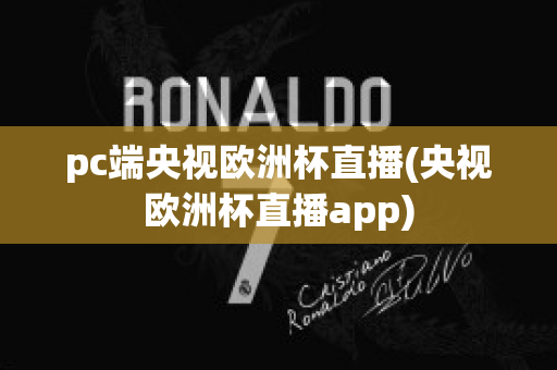 pc端央视欧洲杯直播(央视欧洲杯直播app)