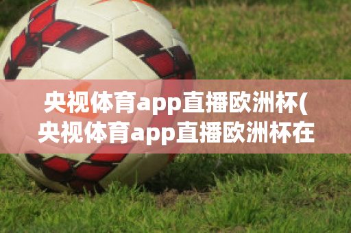 央视体育app直播欧洲杯(央视体育app直播欧洲杯在哪看)