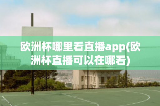 欧洲杯哪里看直播app(欧洲杯直播可以在哪看)