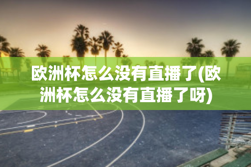 欧洲杯怎么没有直播了(欧洲杯怎么没有直播了呀)