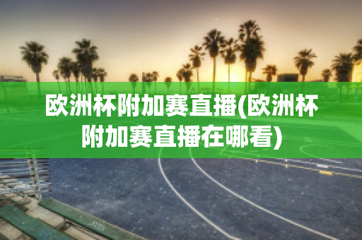 欧洲杯附加赛直播(欧洲杯附加赛直播在哪看)