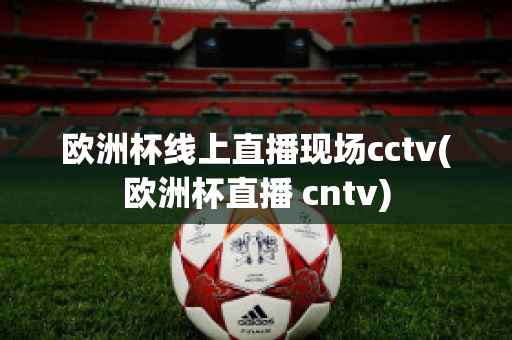 欧洲杯线上直播现场cctv(欧洲杯直播 cntv)