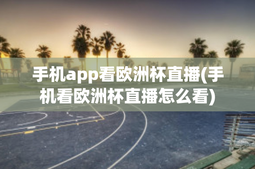 手机app看欧洲杯直播(手机看欧洲杯直播怎么看)