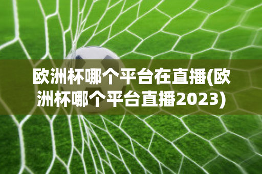 欧洲杯哪个平台在直播(欧洲杯哪个平台直播2023)