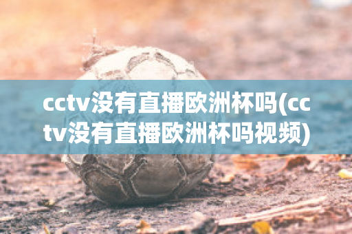 cctv没有直播欧洲杯吗(cctv没有直播欧洲杯吗视频)