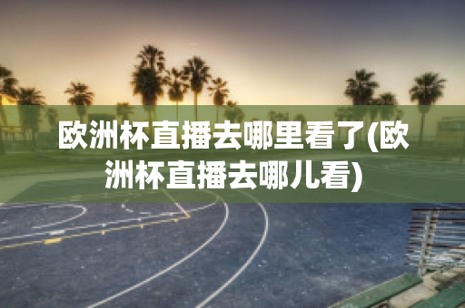 欧洲杯直播去哪里看了(欧洲杯直播去哪儿看)