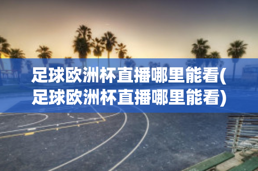 足球欧洲杯直播哪里能看(足球欧洲杯直播哪里能看)