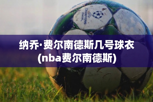 纳乔·费尔南德斯几号球衣(nba费尔南德斯)