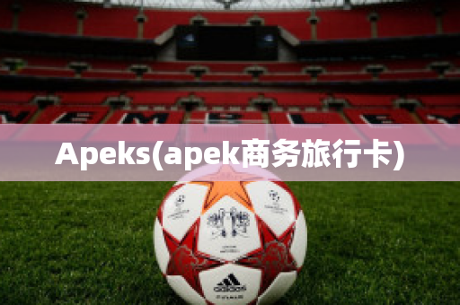 Apeks(apek商务旅行卡)