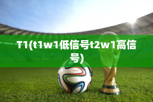 T1(t1w1低信号t2w1高信号)