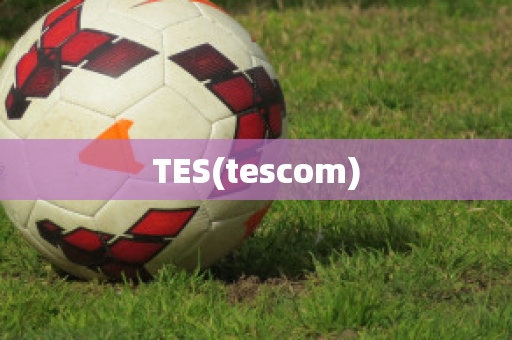 TES(tescom)