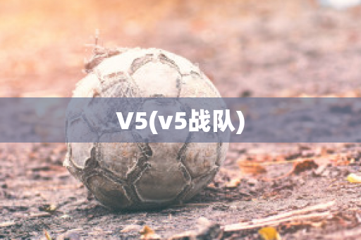 V5(v5战队)