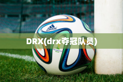 DRX(drx夺冠队员)