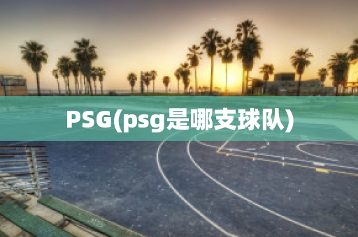 PSG(psg是哪支球队)