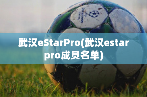 武汉eStarPro(武汉estarpro成员名单)