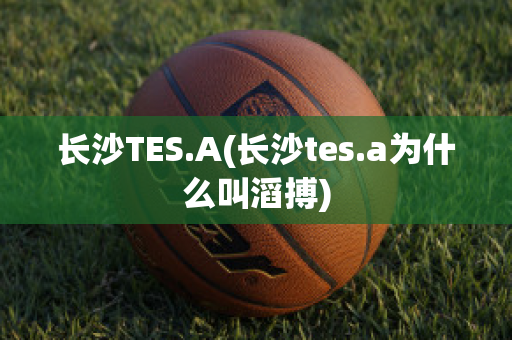 长沙TES.A(长沙tes.a为什么叫滔搏)