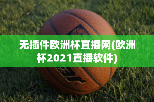 无插件欧洲杯直播网(欧洲杯2021直播软件)