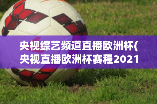 央视综艺频道直播欧洲杯(央视直播欧洲杯赛程2021赛程表)