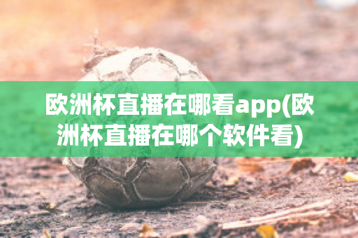 欧洲杯直播在哪看app(欧洲杯直播在哪个软件看)