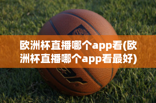 欧洲杯直播哪个app看(欧洲杯直播哪个app看最好)