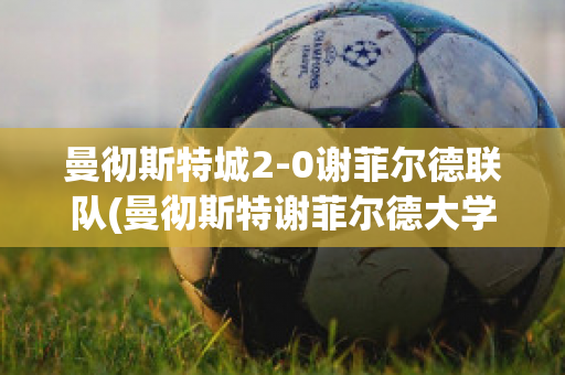 曼彻斯特城2-0谢菲尔德联队(曼彻斯特谢菲尔德大学)