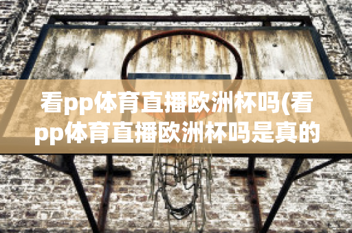 看pp体育直播欧洲杯吗(看pp体育直播欧洲杯吗是真的吗)