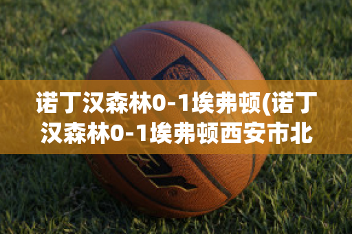 诺丁汉森林0-1埃弗顿(诺丁汉森林0-1埃弗顿西安市北郊保安招聘)